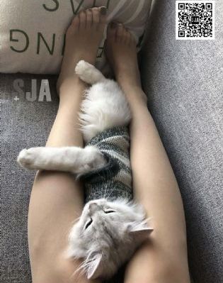 有钱男与贫穷女_1080电影在线观看
